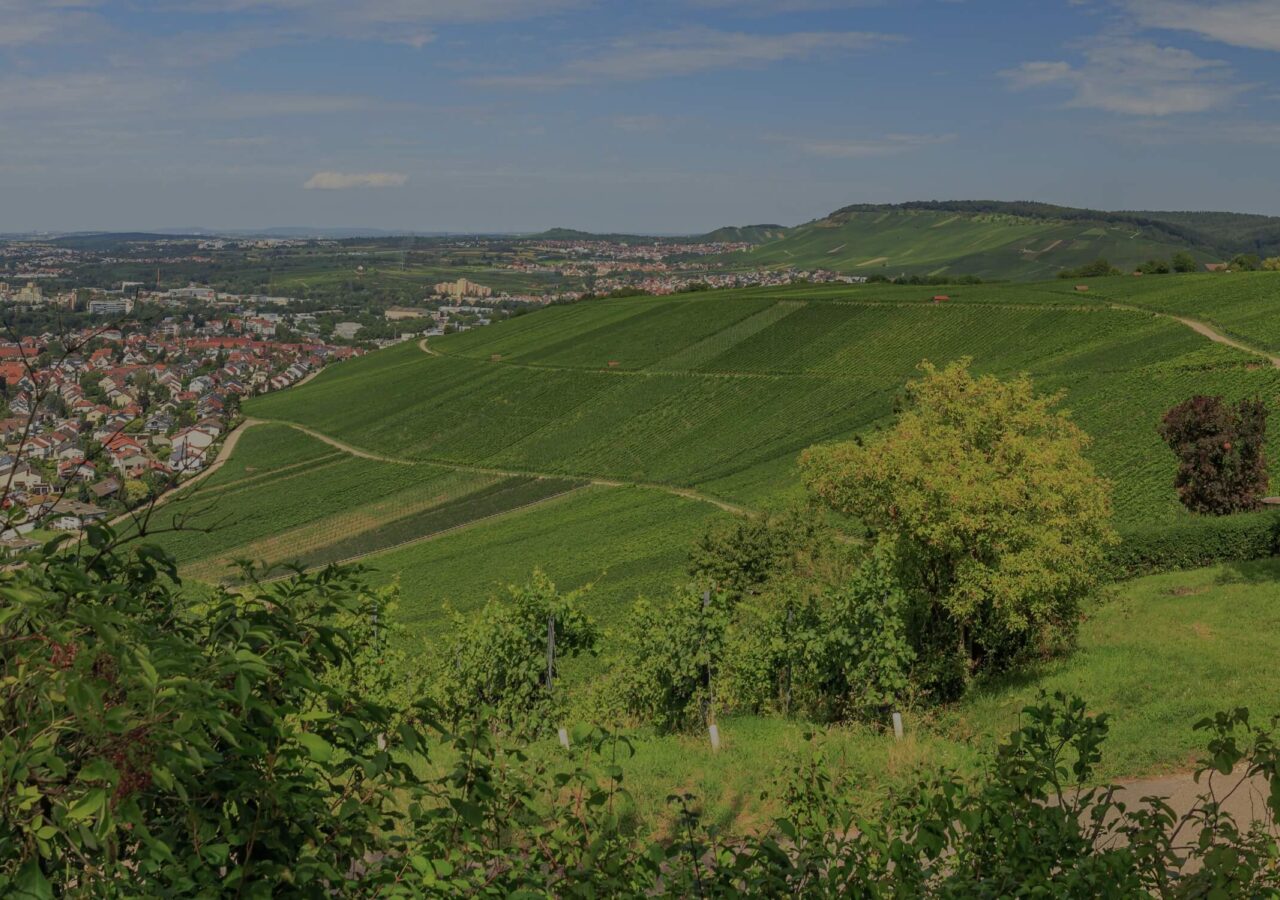 Stadt Weinstadt: Kultur trifft Natur